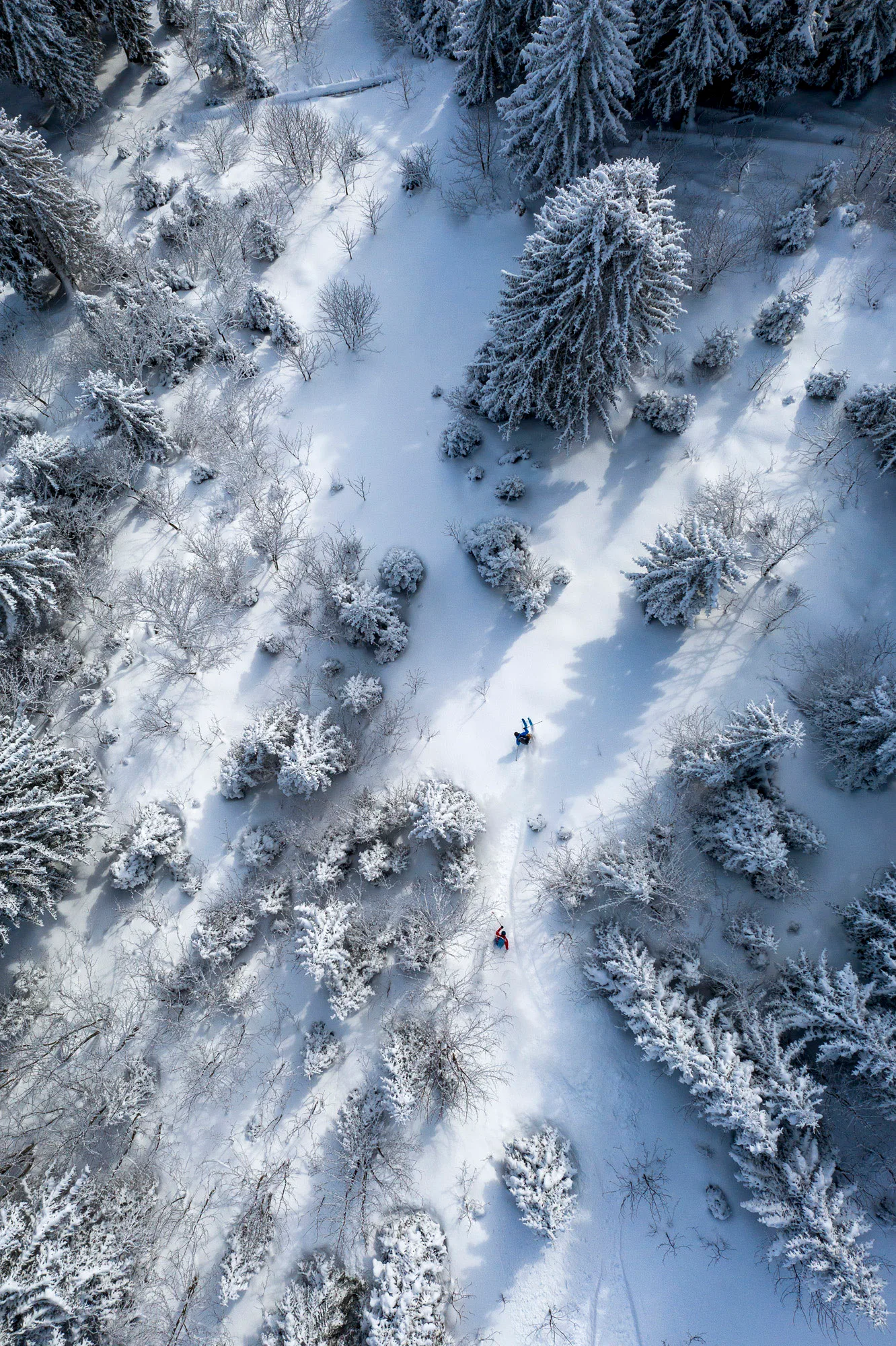 Skifahrer im Tiefschnee mit Pulverwolke vor alpiner Kulisse
