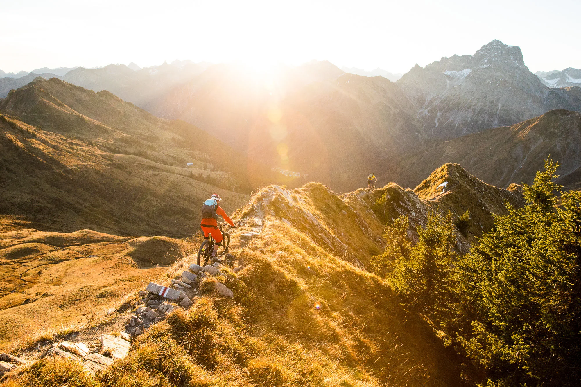 Mountainbiker im Flow auf flowigem Single-Trail durch Wald